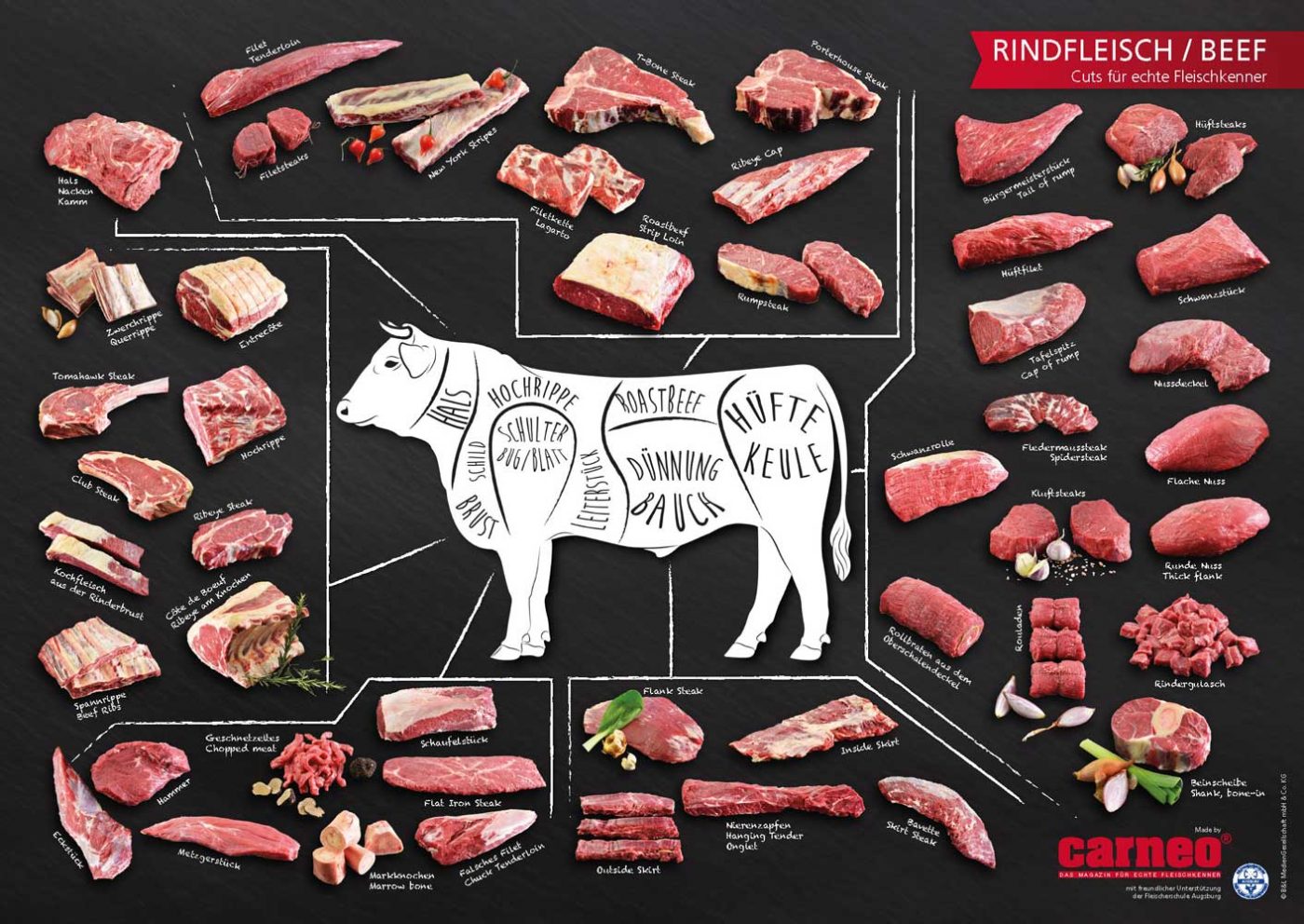 Plakat A1/A0, Motiv Rindfleisch/Beef, Cuts