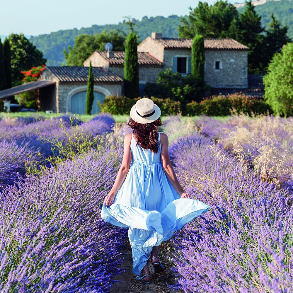 Zu Gast … in der Provence