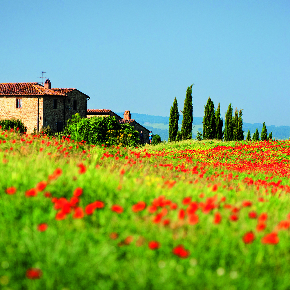 Der Himmel, die Landschaft, der Geruch nach Pinien und Oliven – die Toskana ist einfach ein Traum. Und auch kulinarisch kann man hier schwelgen.