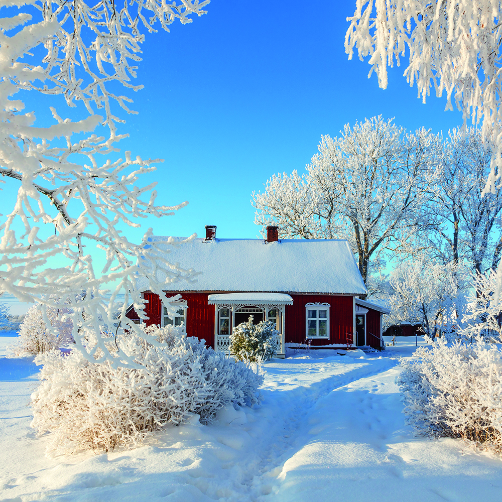 Das Land der Elche und roten Holzhäuser. Es gibt viele Gründe nach Schweden zu fahren. Zum Beispiel wegen der üppigen Natur, pulsierenden Städten und netten Menschen. Wir sind zu Gast in Schweden ...